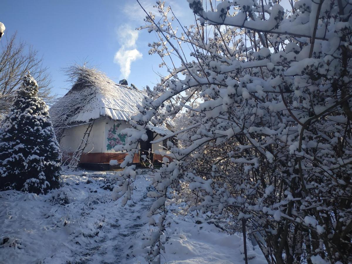 Penzion Koryakivskyi Rai Dmitrenki Exteriér fotografie