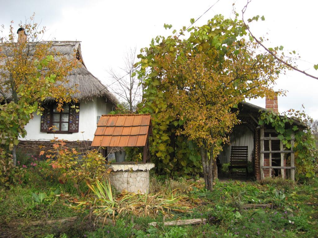 Penzion Koryakivskyi Rai Dmitrenki Exteriér fotografie