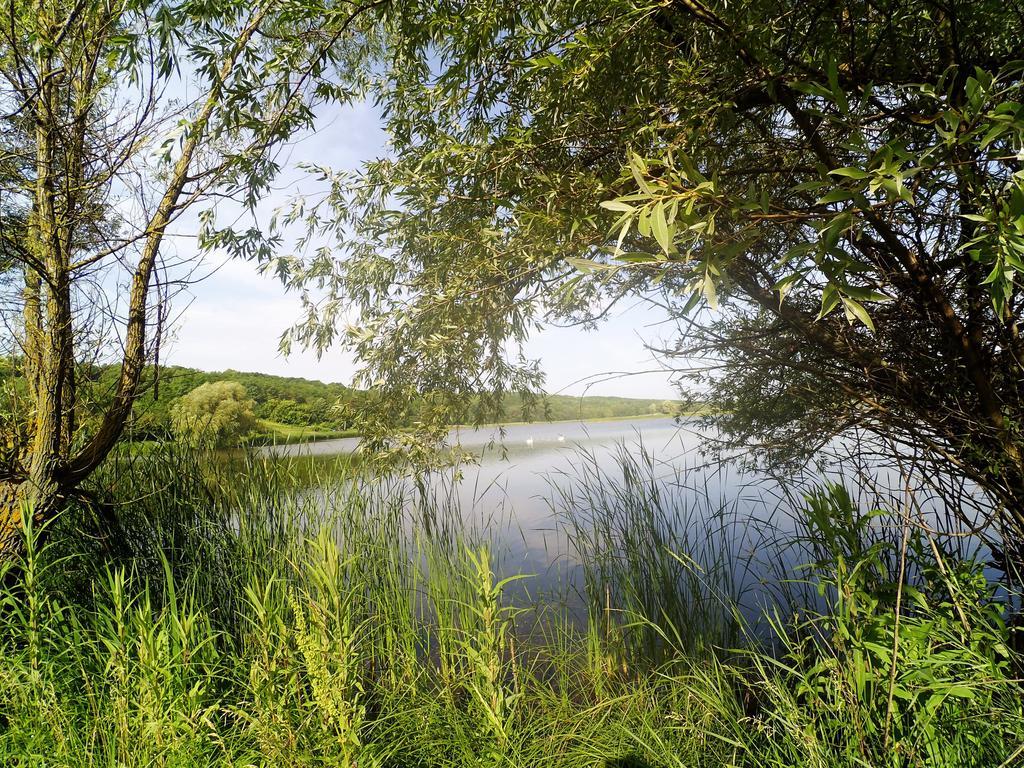 Penzion Koryakivskyi Rai Dmitrenki Exteriér fotografie