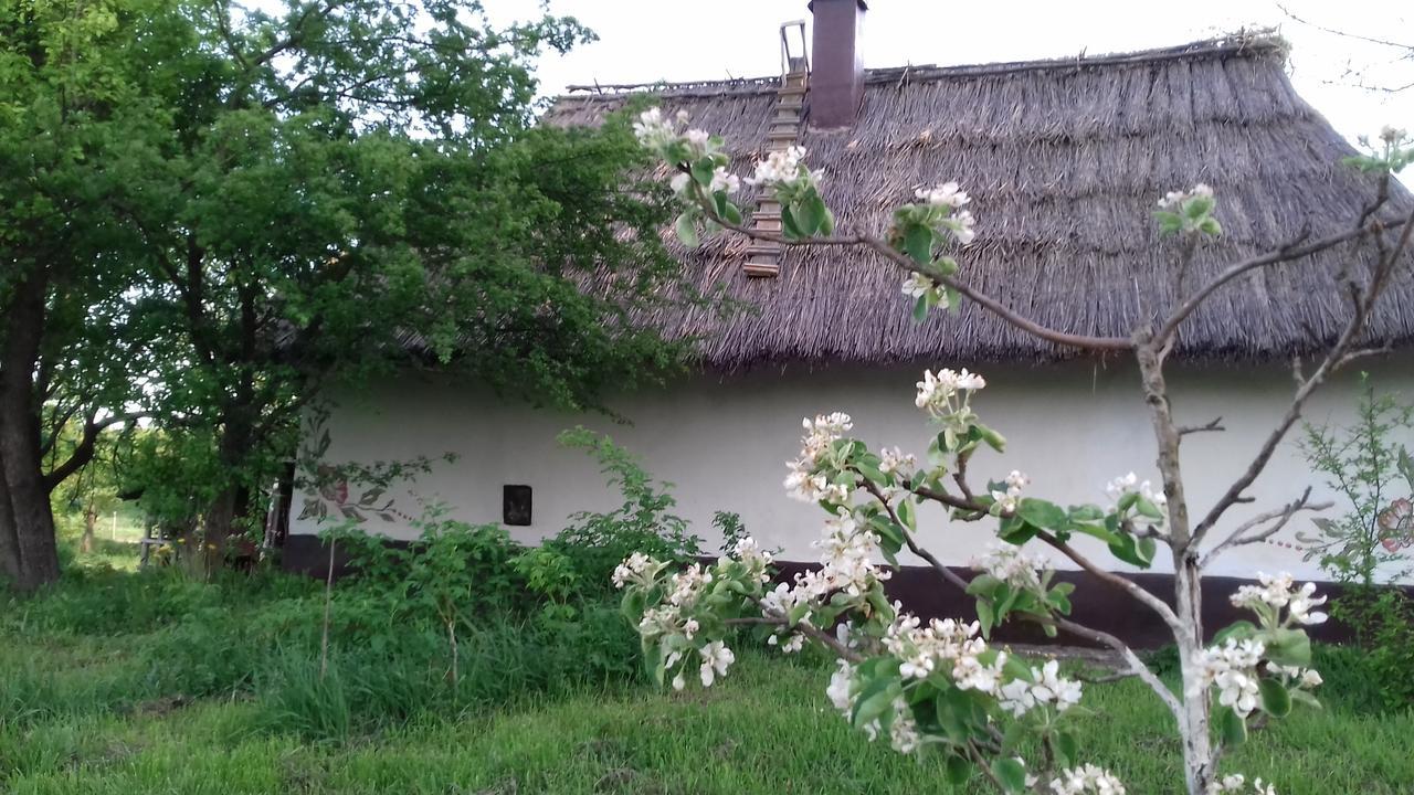 Penzion Koryakivskyi Rai Dmitrenki Exteriér fotografie