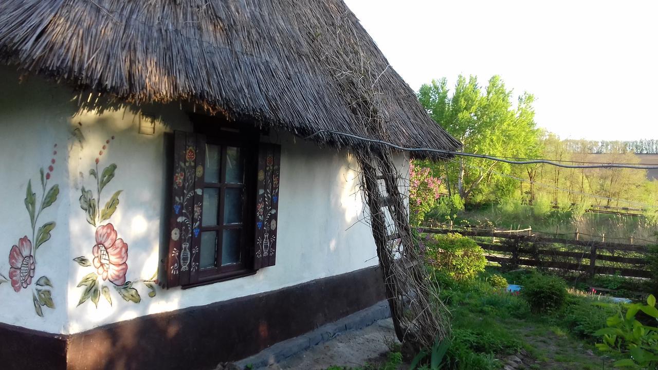Penzion Koryakivskyi Rai Dmitrenki Exteriér fotografie