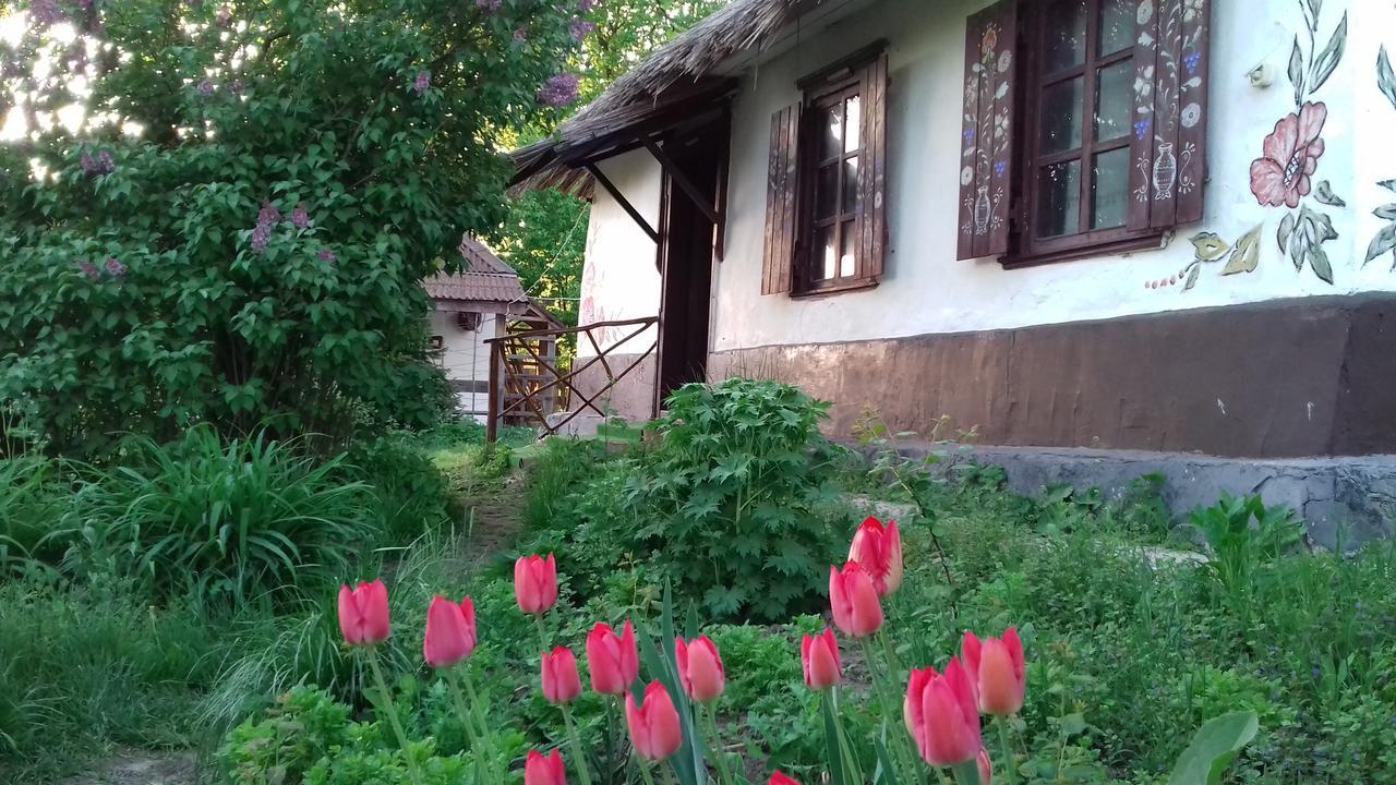 Penzion Koryakivskyi Rai Dmitrenki Exteriér fotografie