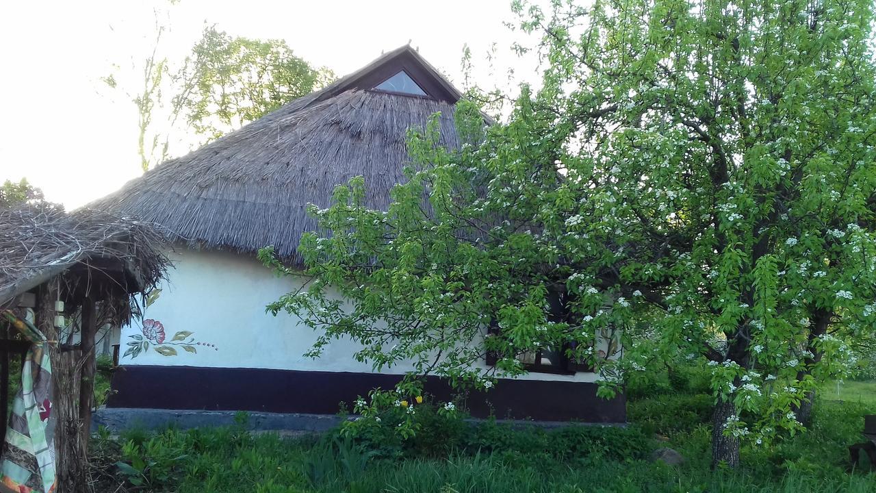 Penzion Koryakivskyi Rai Dmitrenki Exteriér fotografie