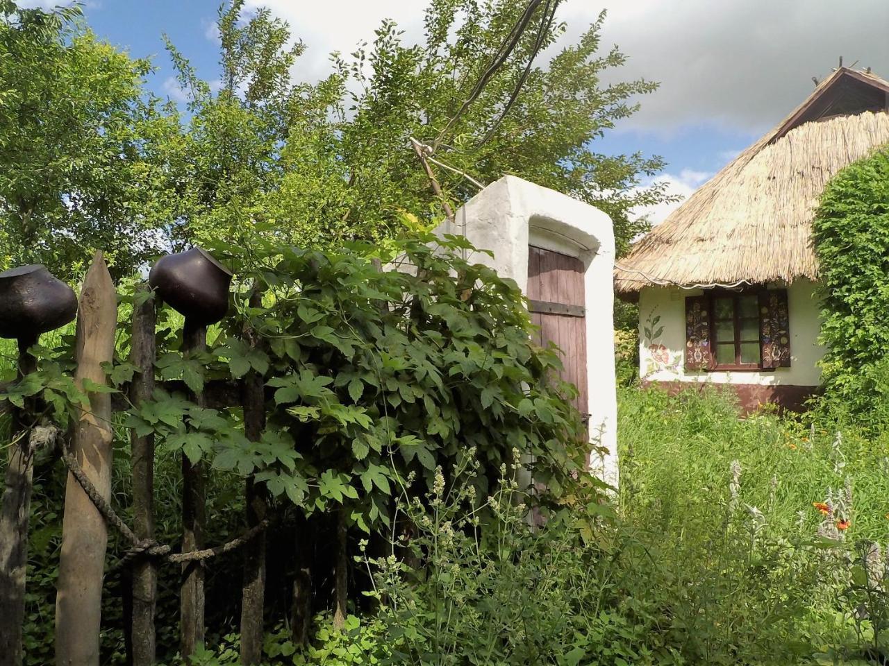 Penzion Koryakivskyi Rai Dmitrenki Exteriér fotografie