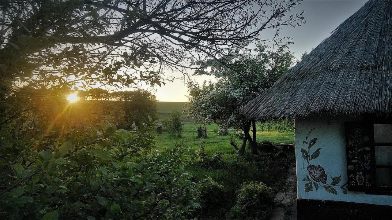 Penzion Koryakivskyi Rai Dmitrenki Exteriér fotografie